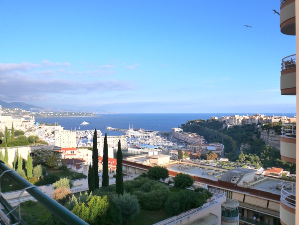 Grand studio,  rénové vue mer et Monaco - 1