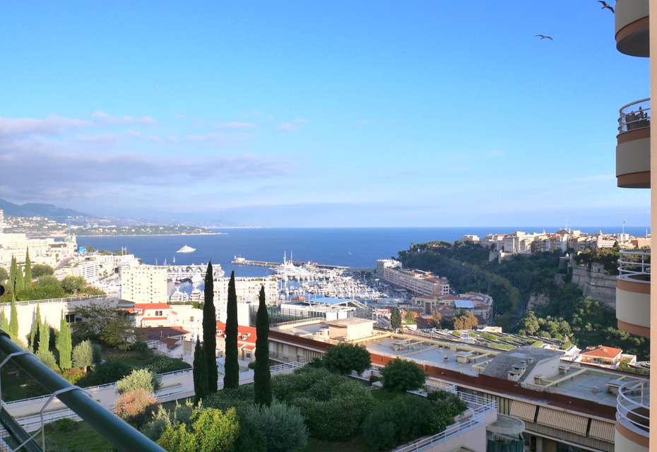 Grand studio,  rénové vue mer et Monaco